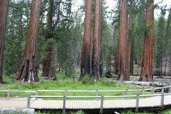Yosemite-Park, Sequoia-Park	